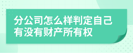 分公司怎么样判定自己有没有财产所有权