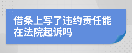 借条上写了违约责任能在法院起诉吗