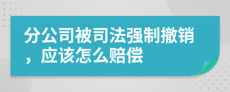 分公司被司法强制撤销，应该怎么赔偿