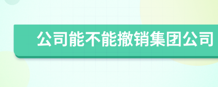 公司能不能撤销集团公司