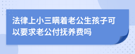 法律上小三瞒着老公生孩子可以要求老公付抚养费吗