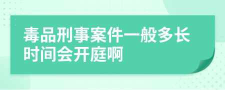 毒品刑事案件一般多长时间会开庭啊