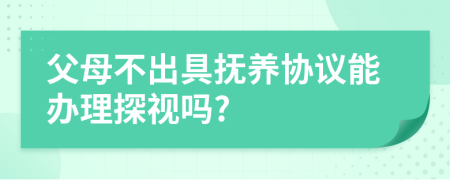 父母不出具抚养协议能办理探视吗?