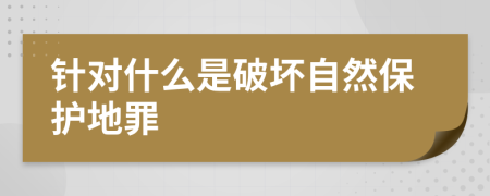 针对什么是破坏自然保护地罪