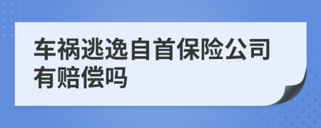 车祸逃逸自首保险公司有赔偿吗