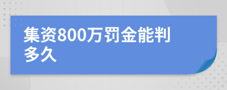 集资800万罚金能判多久