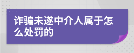 诈骗未遂中介人属于怎么处罚的