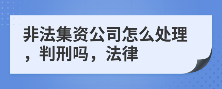 非法集资公司怎么处理，判刑吗，法律