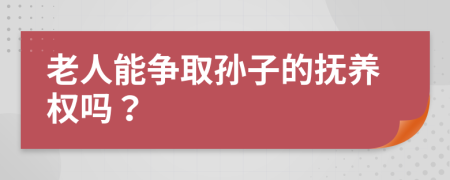 老人能争取孙子的抚养权吗？