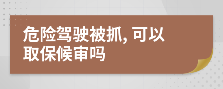 危险驾驶被抓, 可以取保候审吗