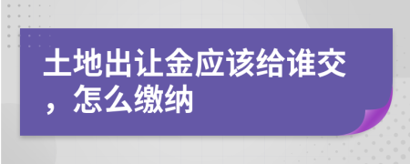 土地出让金应该给谁交，怎么缴纳