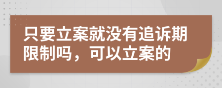 只要立案就没有追诉期限制吗，可以立案的