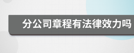 分公司章程有法律效力吗