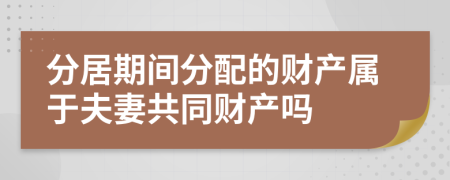 分居期间分配的财产属于夫妻共同财产吗