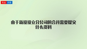 由于新设设立分公司的合并需要提交什么资料