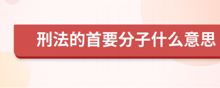 刑法的首要分子什么意思