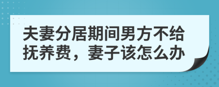 夫妻分居期间男方不给抚养费，妻子该怎么办