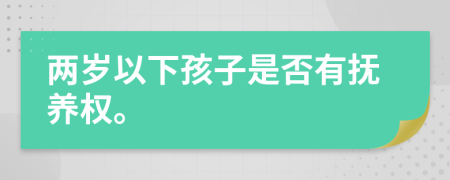 两岁以下孩子是否有抚养权。