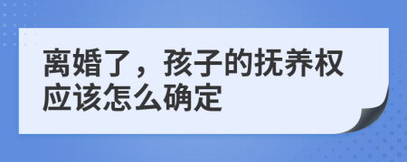 离婚了，孩子的抚养权应该怎么确定