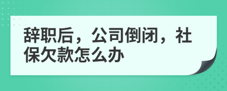 辞职后，公司倒闭，社保欠款怎么办