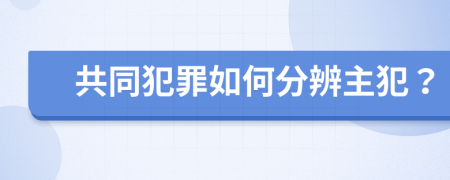 共同犯罪如何分辨主犯？