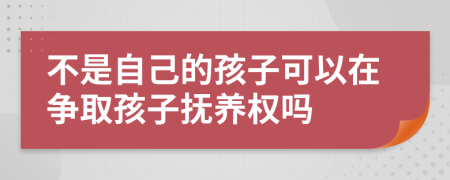 不是自己的孩子可以在争取孩子抚养权吗