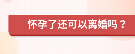 怀孕了还可以离婚吗？