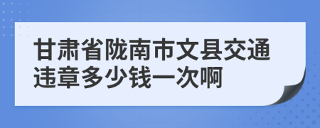 甘肃省陇南市文县交通违章多少钱一次啊