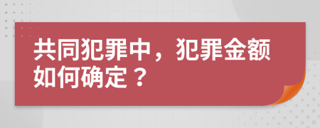 共同犯罪中，犯罪金额如何确定？