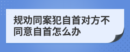 规劝同案犯自首对方不同意自首怎么办