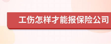 工伤怎样才能报保险公司