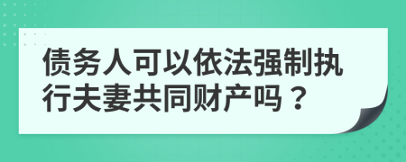 债务人可以依法强制执行夫妻共同财产吗？