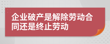 企业破产是解除劳动合同还是终止劳动