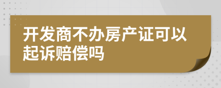 开发商不办房产证可以起诉赔偿吗