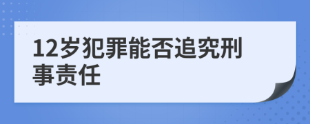 12岁犯罪能否追究刑事责任