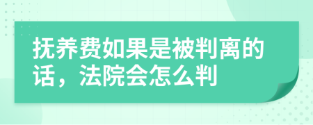 抚养费如果是被判离的话，法院会怎么判