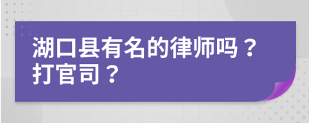 湖口县有名的律师吗？打官司？