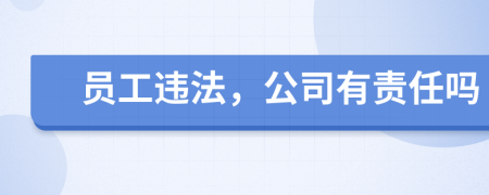 员工违法，公司有责任吗