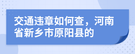 交通违章如何查，河南省新乡市原阳县的