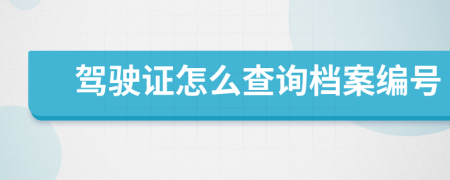 驾驶证怎么查询档案编号