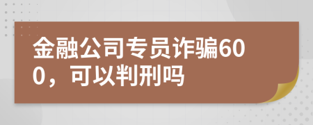 金融公司专员诈骗600，可以判刑吗