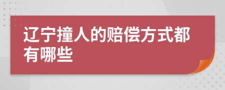辽宁撞人的赔偿方式都有哪些