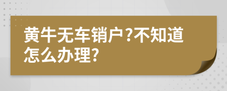 黄牛无车销户?不知道怎么办理?