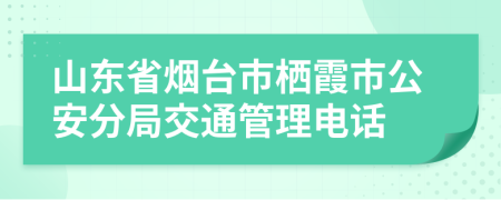 山东省烟台市栖霞市公安分局交通管理电话