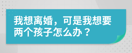 我想离婚，可是我想要两个孩子怎么办？