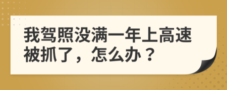 我驾照没满一年上高速被抓了，怎么办？