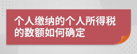 个人缴纳的个人所得税的数额如何确定