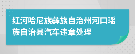 红河哈尼族彝族自治州河口瑶族自治县汽车违章处理