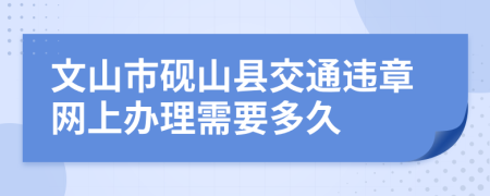 文山市砚山县交通违章网上办理需要多久