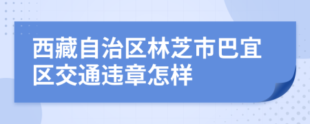 西藏自治区林芝市巴宜区交通违章怎样